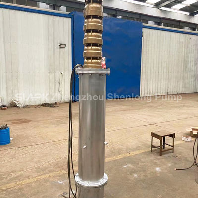 316L Stainless Steel Submersible Seawater Pump for Offshore Water Intakede