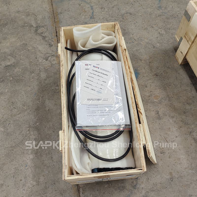 Deep Well Sea Water Submersible Pump / Submersible Potable Water Pump Anticorrosive