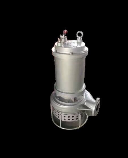 SS304 Submersible Slurry Pump Heavy Duty Slurry Submersible Pump Designed for Continuous Operation in Harsh Environments