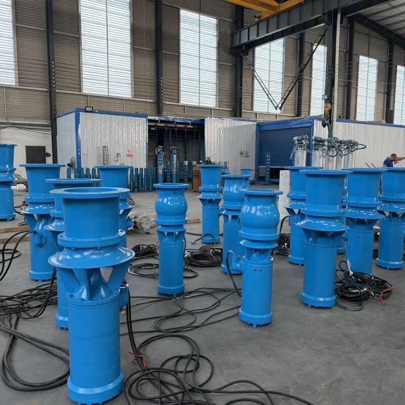 45kW ডুবযোগ্য অক্ষীয় প্রবাহ পাম্প 1300 m3/h প্রবাহ এবং উচ্চ প্রবাহ ড্রেনেশনের জন্য 8m মাথা