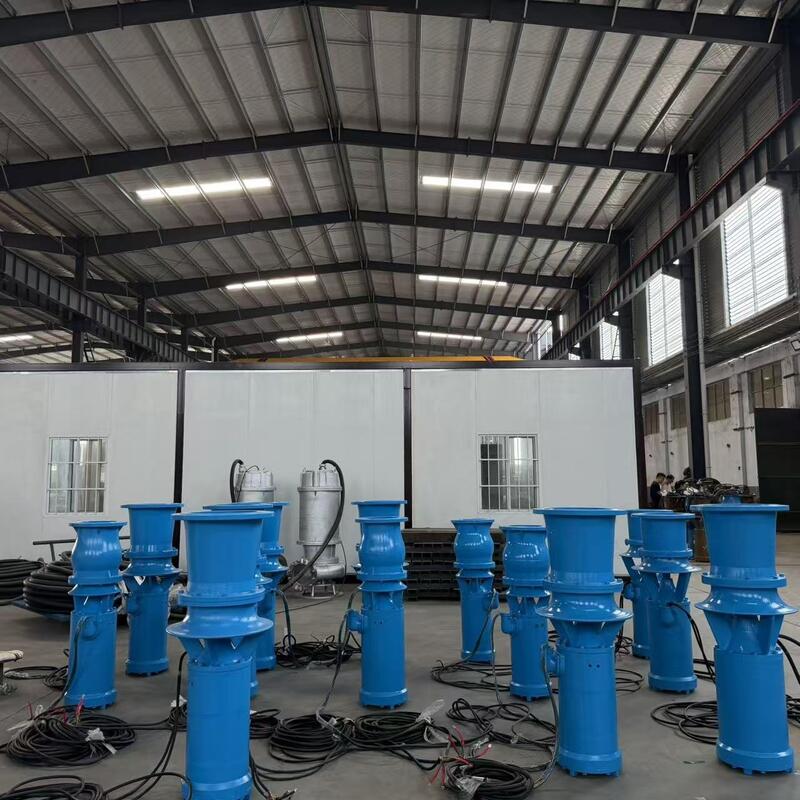 45kW ডুবযোগ্য অক্ষীয় প্রবাহ পাম্প 1300 m3/h প্রবাহ এবং উচ্চ প্রবাহ ড্রেনেশনের জন্য 8m মাথা