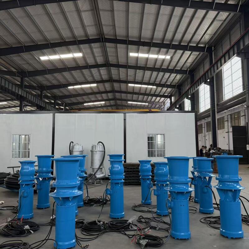 45kW ডুবযোগ্য অক্ষীয় প্রবাহ পাম্প 1300 m3/h প্রবাহ এবং উচ্চ প্রবাহ ড্রেনেশনের জন্য 8m মাথা