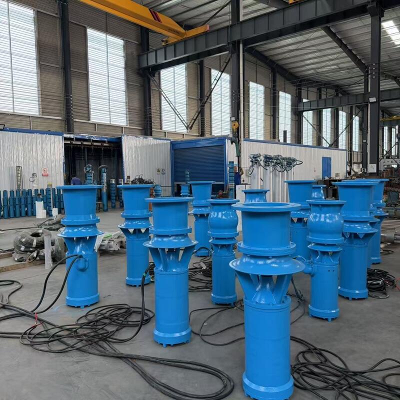 45kW ডুবযোগ্য অক্ষীয় প্রবাহ পাম্প 1300 m3/h প্রবাহ এবং উচ্চ প্রবাহ ড্রেনেশনের জন্য 8m মাথা