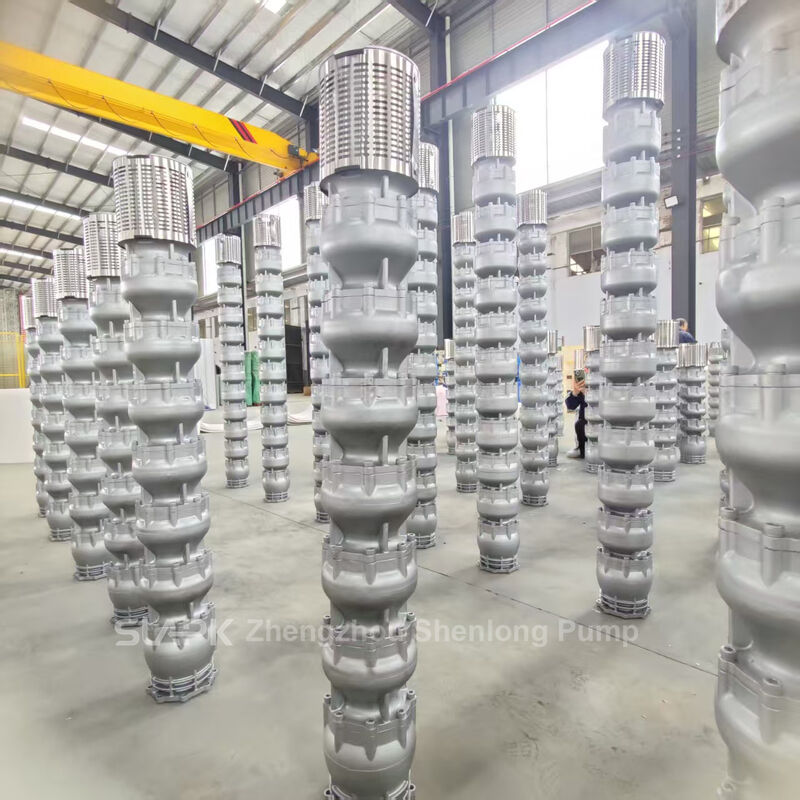 300QJH-300-62-75KW স্টেইনলেস স্টীল ডুবযোগ্য ভাল পাম্প 300 মি 3 / ঘন্টা প্রবাহ এবং 62 মিটার মাথা ক্ষয় প্রতিরোধী শিল্প জল স্থানান্তর জন্য