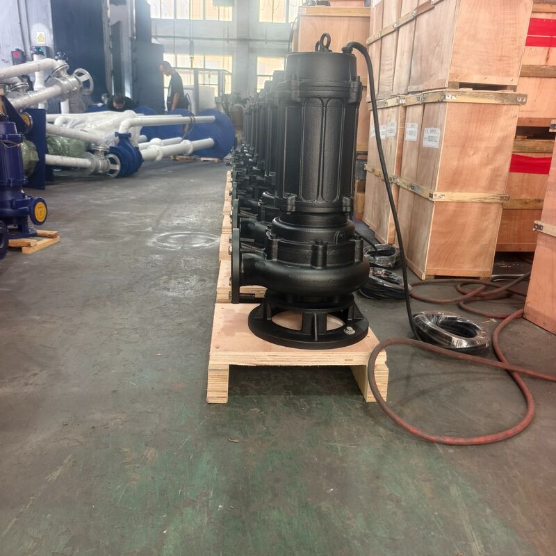 100WQ80-20-7.5kW ডুবযোগ্য নিকাশী পাম্প 80m3/h প্রবাহ, 20m মাথা এবং 7.5kW মোটর বর্জ্য জল নিষ্কাশন জন্য