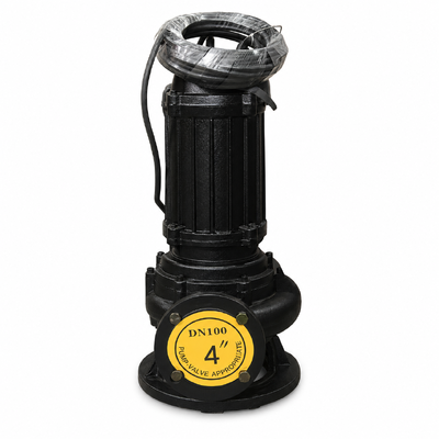 100WQ80-20-7.5kW ডুবযোগ্য নিকাশী পাম্প 80m3/h প্রবাহ, 20m মাথা এবং 7.5kW মোটর বর্জ্য জল নিষ্কাশন জন্য