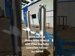 উল্লম্ব মাল্টিস্টেজ 12 ইঞ্চি 400v স্টেইনলেস স্টীল 304 পানীয় জল ডুবন্ত পাম্প