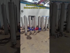 125 কিলোওয়াট ডুবন্ত মোটর